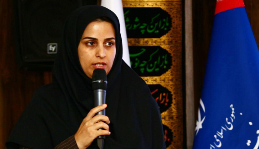 عملیات اکتشافی 60 درصد از مساحت کشور را ایمیدرو انجام می دهد/ جذب 1600 میلیارد تومان نقدینگی با هدف تامین مالی