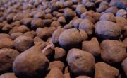 7% growth in iron pellet production by major companies