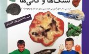 انتشار کتاب آموزشی &laquo;سنگ&zwnj;ها و کانی&zwnj;ها&raquo; برای کودکان و نوجوانان