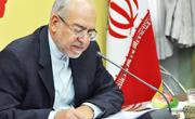 راهکارهای توسعه بخش معدن فردا در نشست تخصصی دولت بررسی می شود