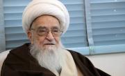 پیام تسلیت رئیس هیات عامل ایمیدرو به مناسبت درگذشت آیت&zwnj;الله &zwnj;العظمی صافی گلپایگانی 