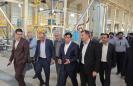آخرین وضعیت پیشرفت طرح فولاد ازنا بررسی شد