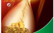 فردا،&zwnj;همایش جایره بهره وری معدن و صنایع معدنی برگزار می شود