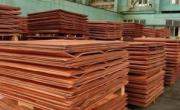 امسال بیشترین سوددهی صنعت مس رقم می&zwnj;خورد / رشد 80درصدی فعالیت&zwnj;های اکتشافی شرکت مس